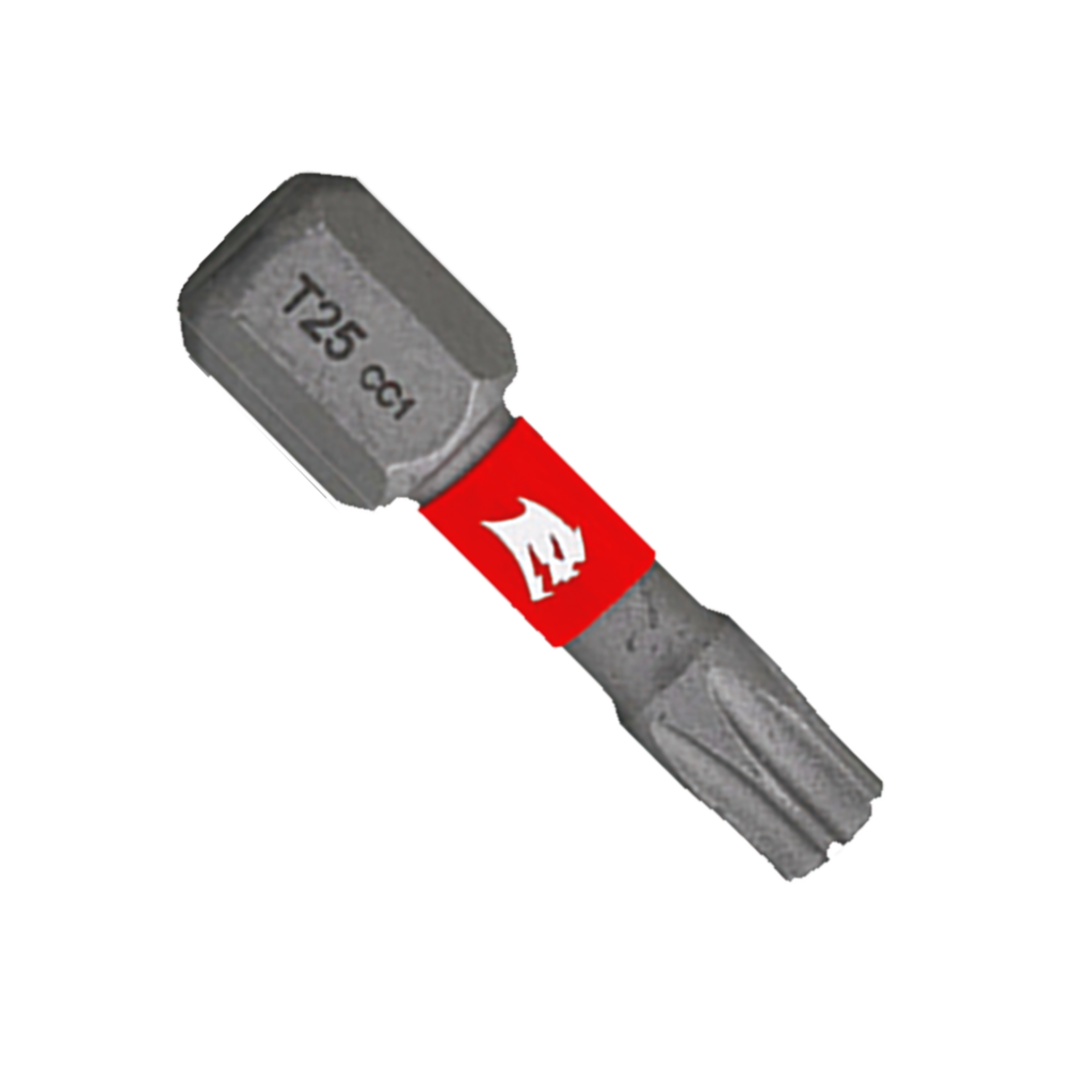 1" #25 Torx Drive Bits (2-Pack)